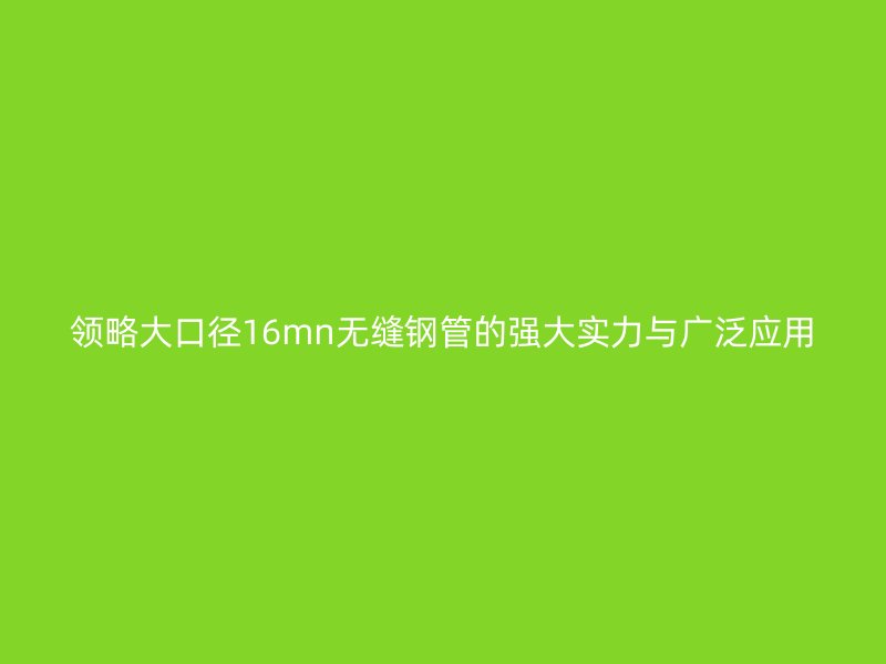 領(lǐng)略大口徑16mn無(wú)縫鋼管的強(qiáng)大實(shí)力與廣泛應(yīng)用